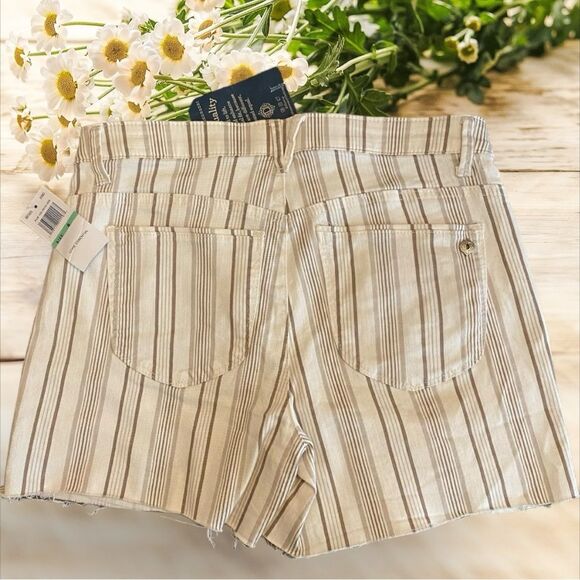 Democracy Ab Solution high rise stripe shorts core essential NWT size 8 - Picture 4 of 12